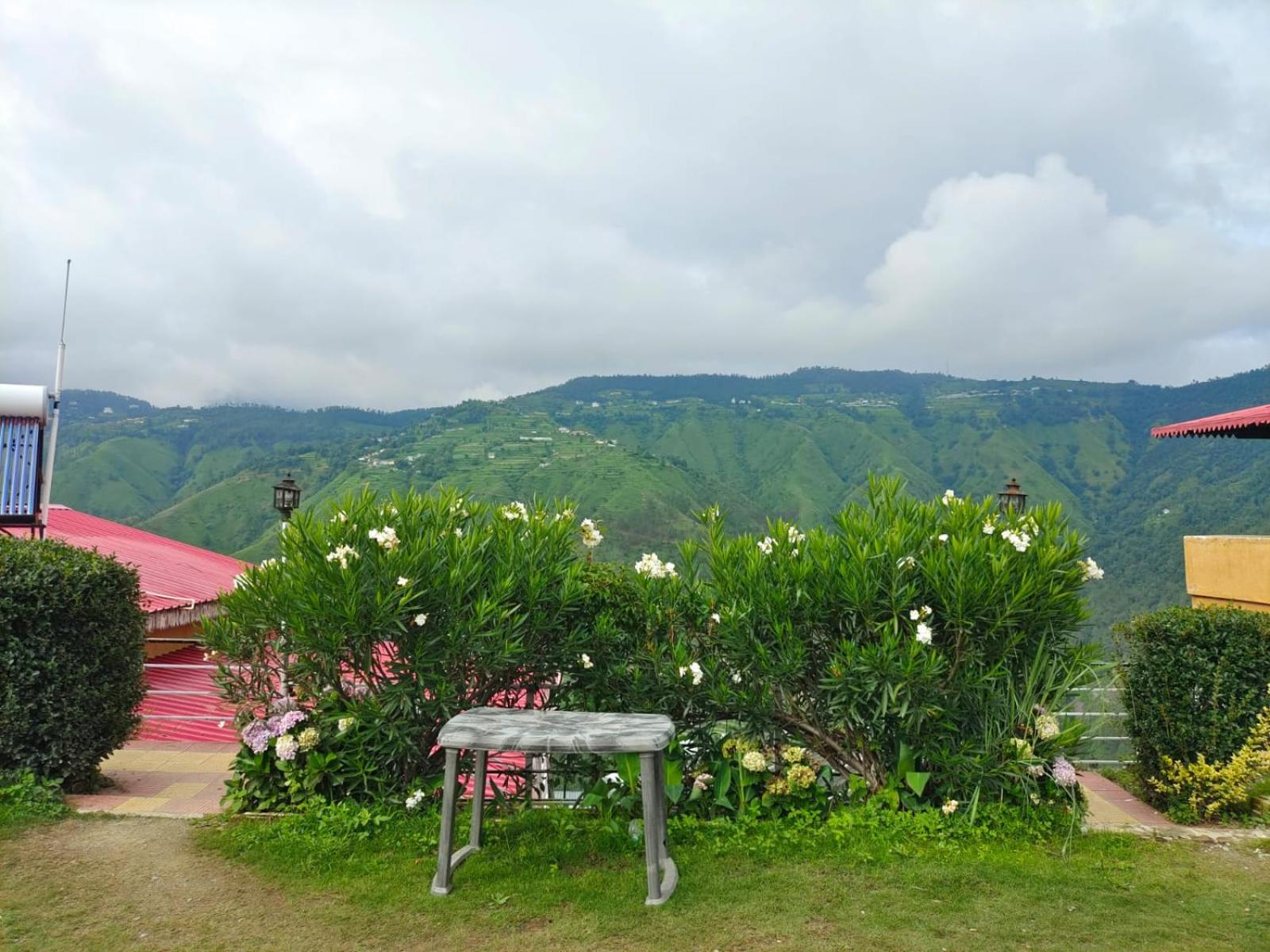 Little Heart Resort Chail Buitenkant foto
