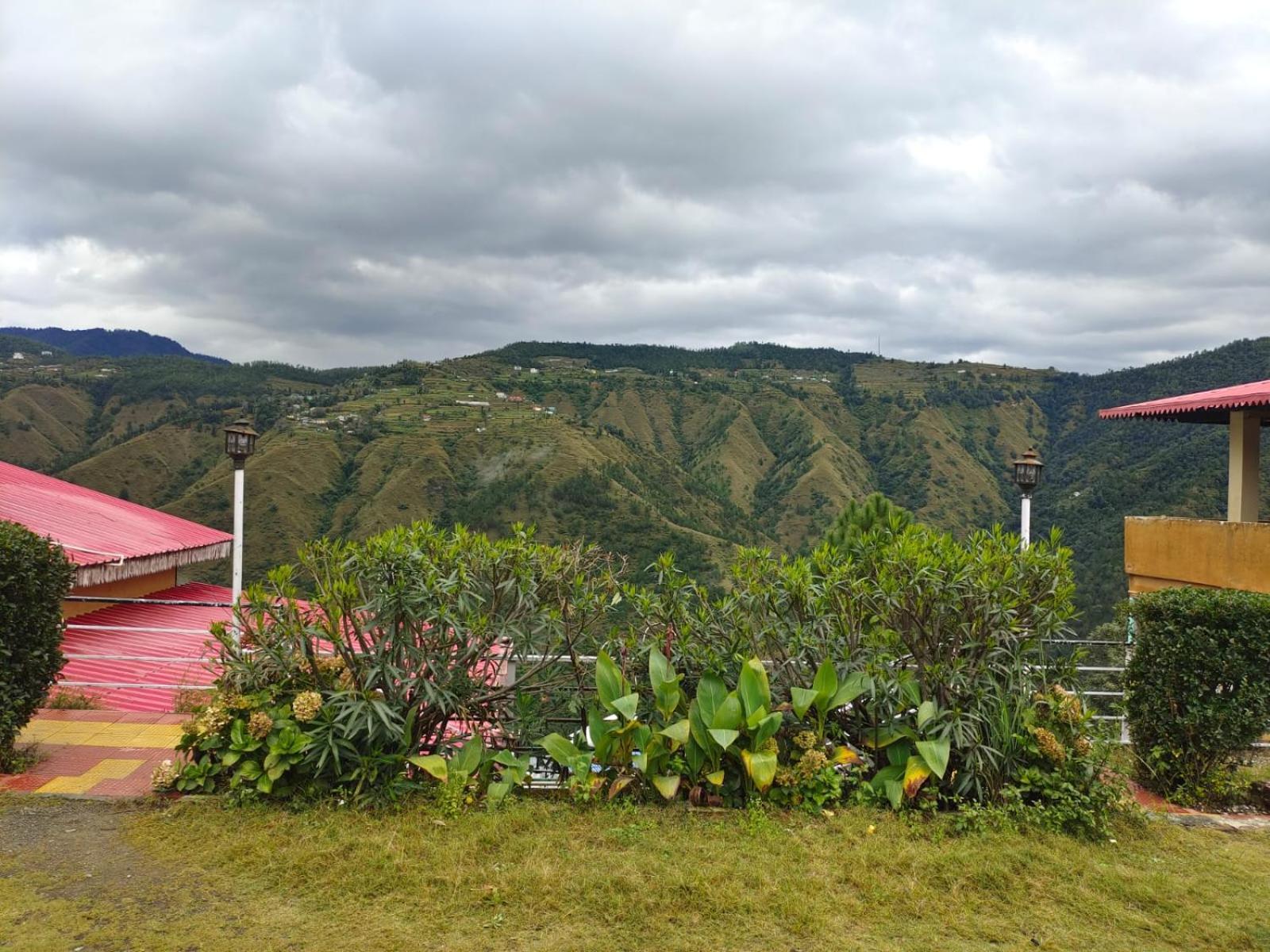 Little Heart Resort Chail Buitenkant foto