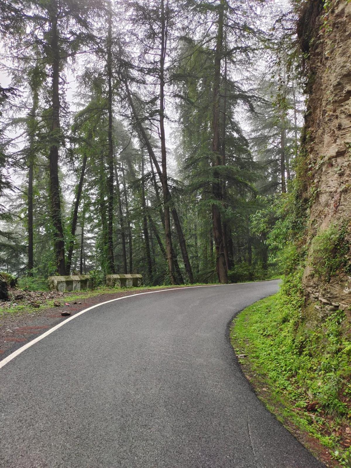 Little Heart Resort Chail Buitenkant foto